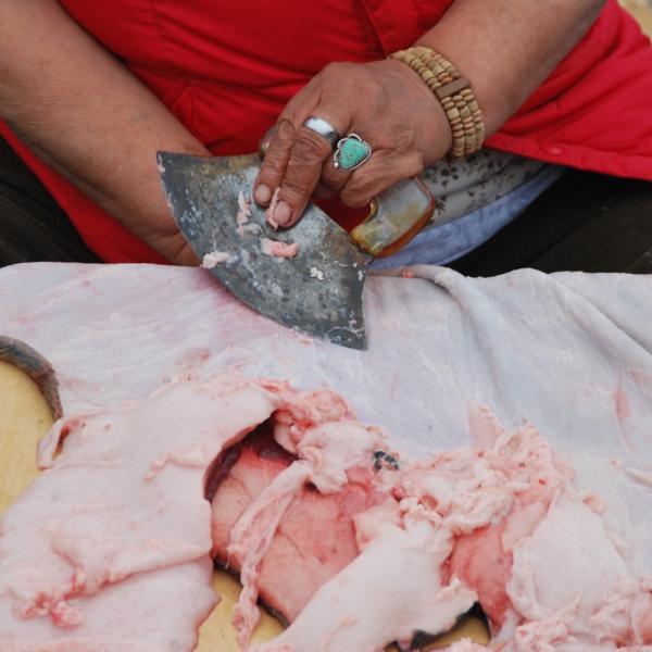 Close-up of hands using an ulu to scrape a sealskin stretched over a wooden board.