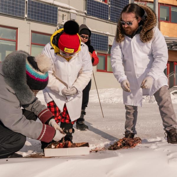 Three people in white lab coats and winter clothing handling caribou meat in a box on the snow outside a building.