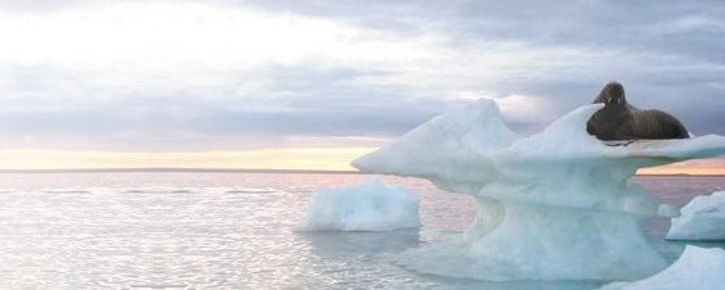 Enroll in the Nunavut Agreement