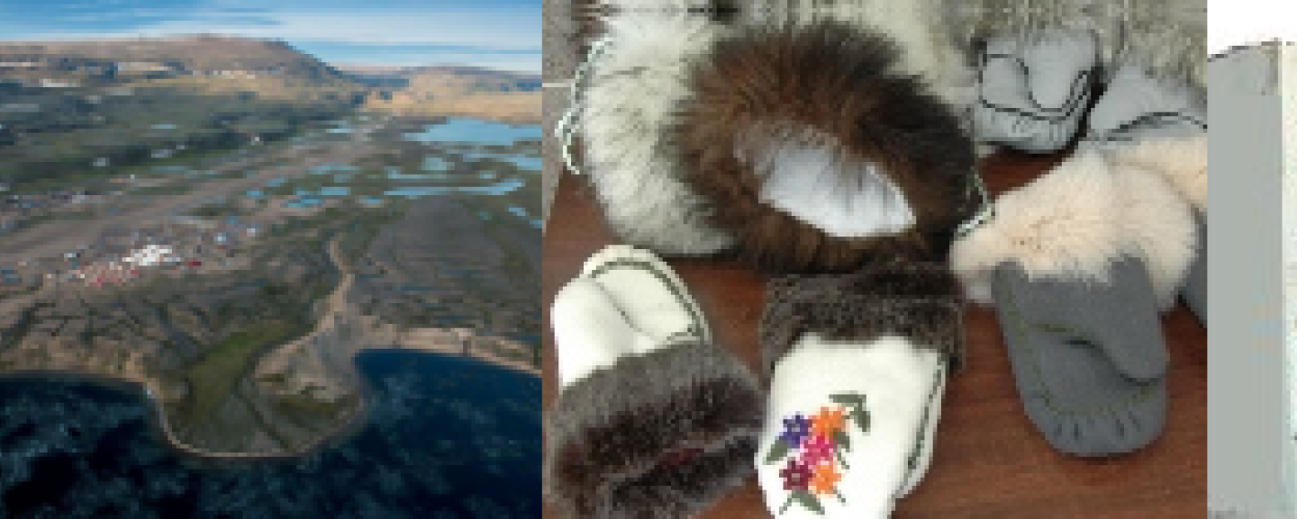 Inuit Firm Registry Database