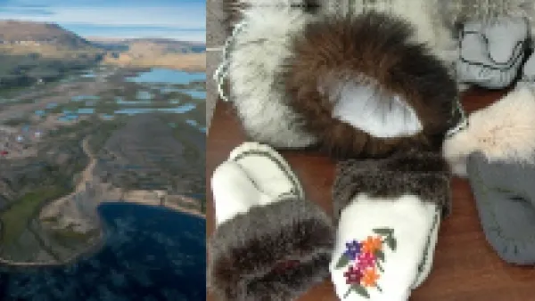 Inuit Firm Registry Database